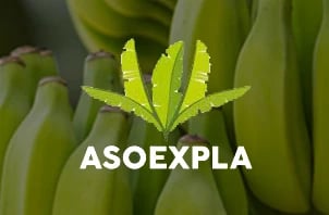 ASOEXPLA