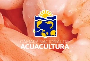 CNA