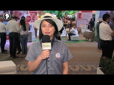 La Porcicultura en Ecuador | Productos para Cerdos