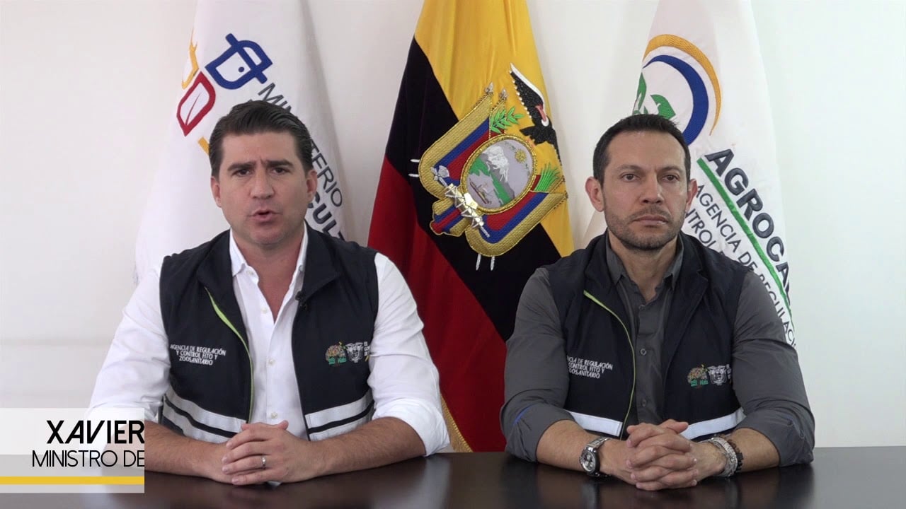 Ecuador  DESMIENTE  ingreso de Mal de Panamá al país