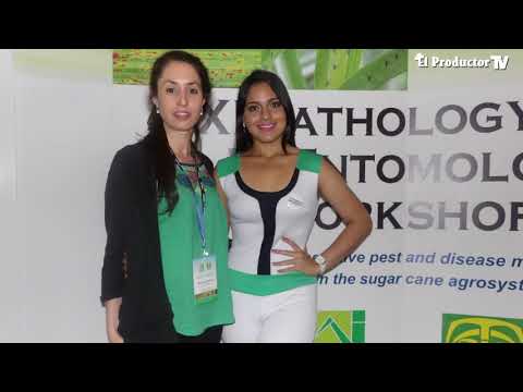 ENFERMEDADES en CAÑA DE AZÚCAR