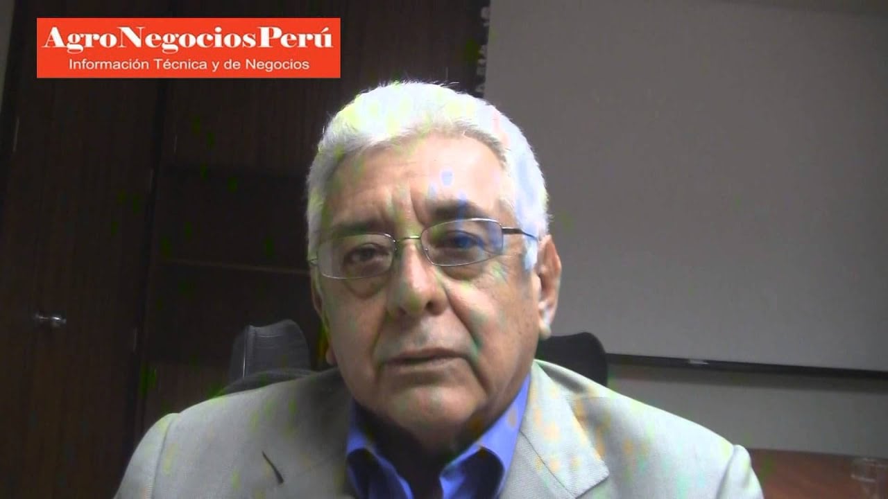 Ecuador: Cuatro sectores productivos evalúan impactos de El Niño