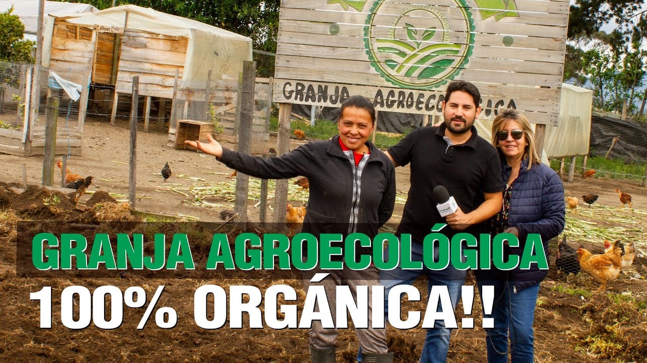 ¿Cómo hacer una Granja Agroecológica con solo $300!! y 100% Orgánica!!