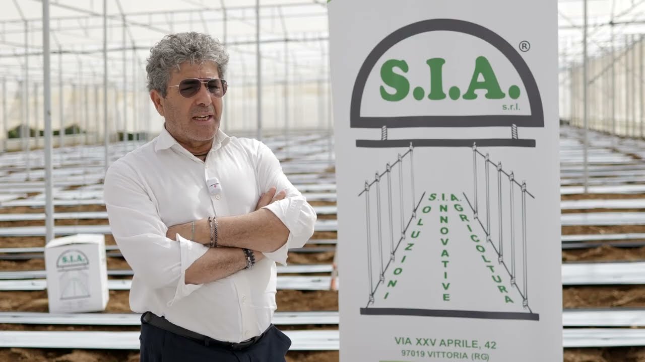 Internacional: ¿Cómo ahorrar mano de obra, tiempo y dinero en el cultivo en invernadero?