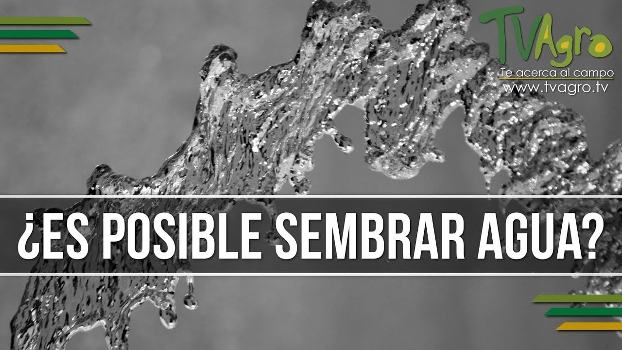 Aprenda cómo sembrar agua con tan solo 3 ingredientes, dice ganadero
