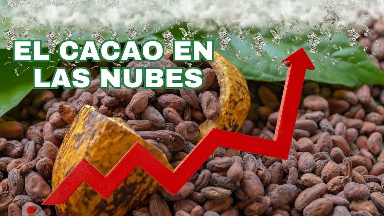 El ALZA del CACAO explicada: ¿Por Qué Ecuador salió GANANDO?