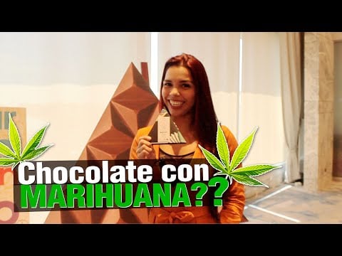 Chocolate con CANNABIS ¿Lo has probado?
