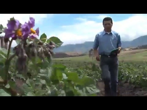 Mecanización Agrícola en el Ecuador | ElProductor.com