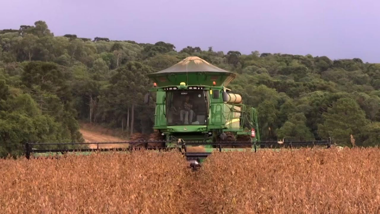 La guerra rusa empeora la escasez de fertilizantes y pone en riesgo el suministro de alimentos
