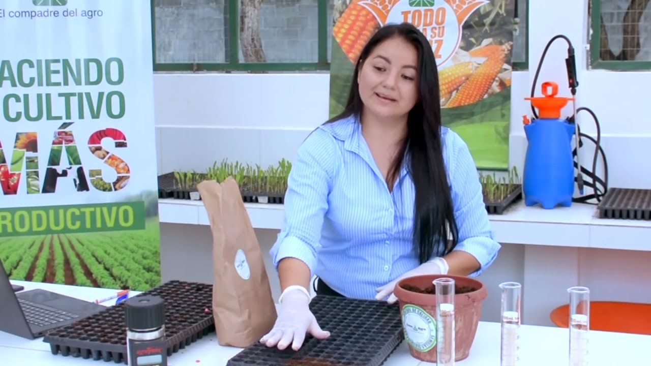 Control de calidad de Semillas - Serie / Agricultura para la Vida