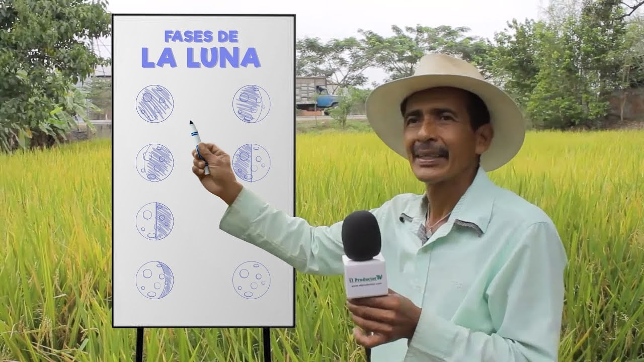 Cómo usar las Fases Lunares Para Sembrar, Cosechar, Injertar y Domar…