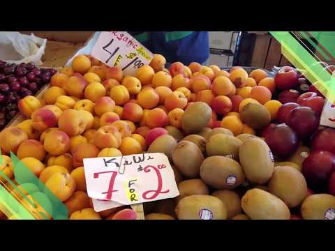 AgroFest | Ferias Agricolas