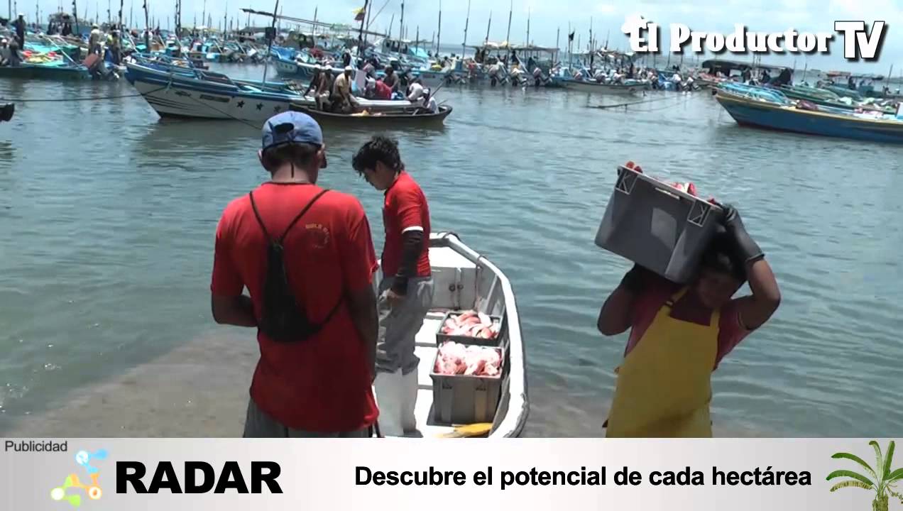 PESCA ARTESANAL ECUATORIANA SE MODERNIZARÁ