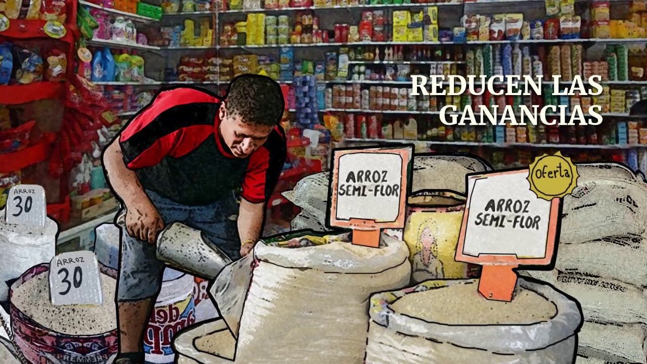 Los arroceros alertan sobre 3 problemas que mantienen en crisis a su sector