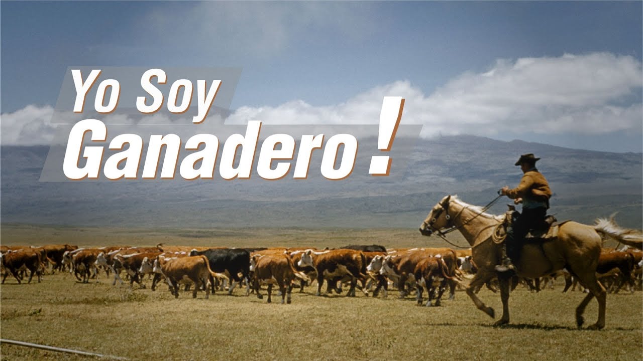 Amor por la Ganadería frente al Covid-19