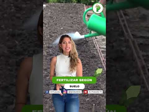 "¡Siembras Maíz y Ganas Miles! Descubre Cómo…"