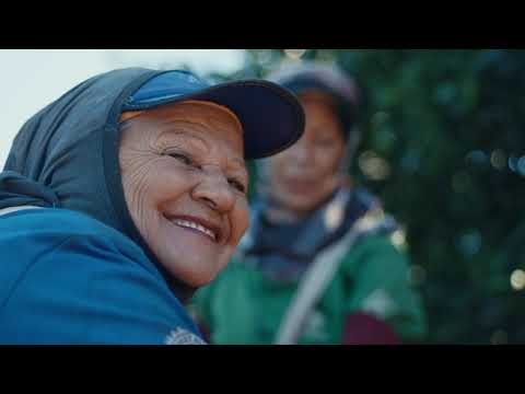 NUESTROS PRODUCTORES, Los HÉROES de la Alimentación