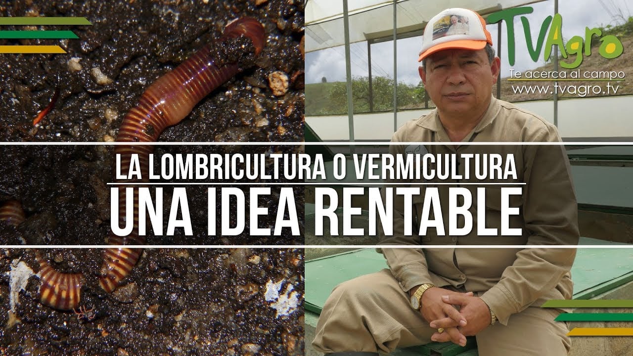Cómo hacer fácilmente un sistema de lombricultura con riego automático