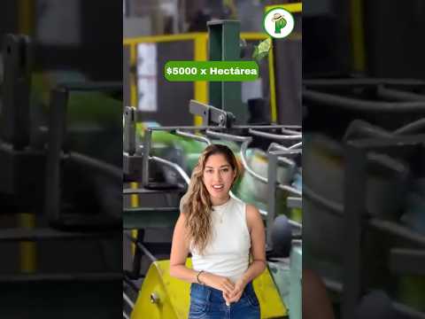 Cómo Ganar $5,000 con UNA HECTÁREA de MAÍZ | El Secreto del Agro…