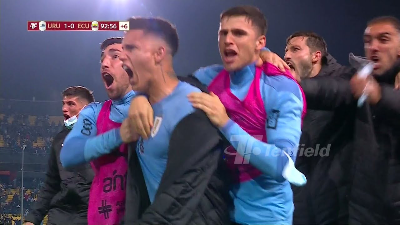 Los goles más dolorosos que ha recibido la Selección de Ecuador