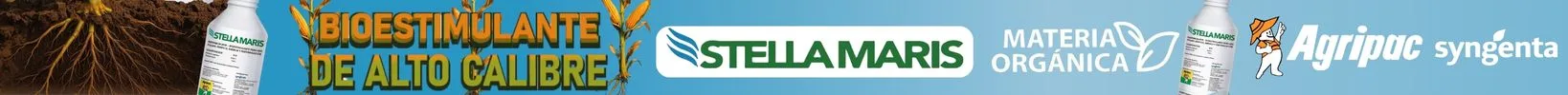 Publicidad · Stella Maris