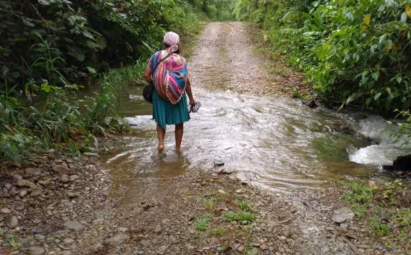 Bolivia: Intensas lluvias provocan inundaciones en empacadoras de banano en el Trópico de Cochabamba
