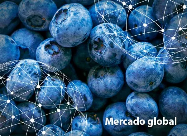 Resumen del mercado global del arándano