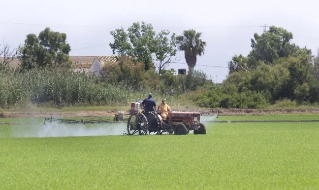 ECUADOR: Productores piden regulación de precios tras fin del subsidio al diésel