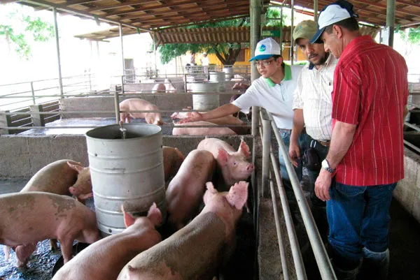 Qué necesita el agro del próximo presidente de la república <h4>Sexta parte</h4>
