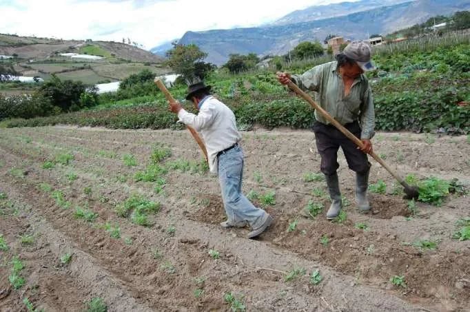 Ecuador: Invierten más de $1 millón para mejorar el riego en Pimampiro