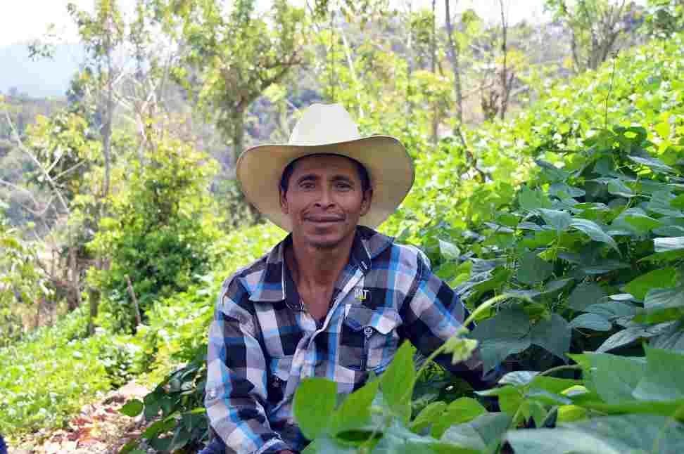 Agricultura sostenible adaptada al clima como alternativa para reducir el impacto de las amenazas naturales y de la covid19 en países de Centroamérica