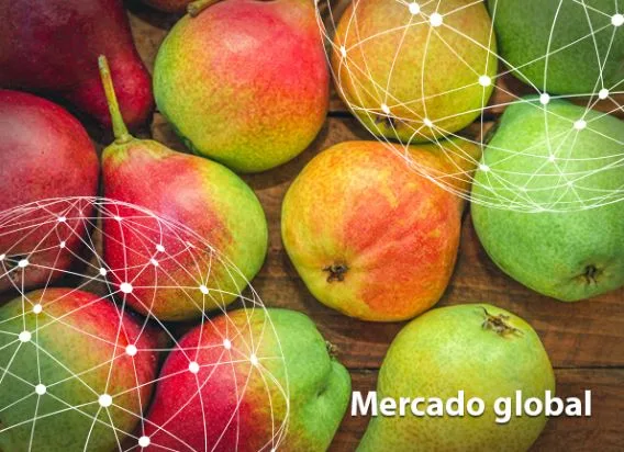 Resumen del mercado global de la pera