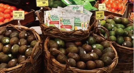 La abundante oferta y la fuerte demanda mantienen los aguacates en movimiento