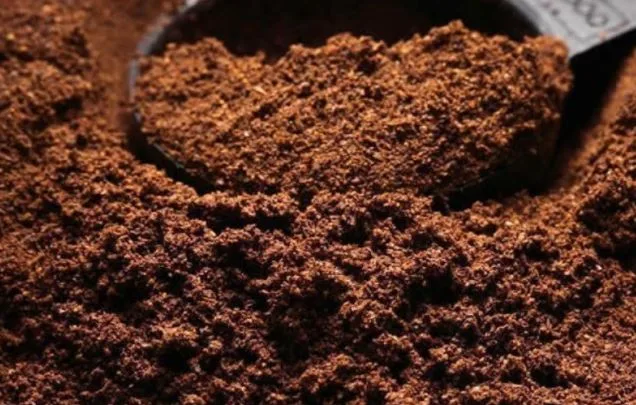 Subproductos alimenticios reciclados son una fuente de gran valor para la industria cosmética