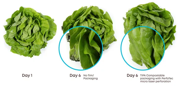 Un nuevo embalaje compostable puede duplicar la vida útil de las frutas y hortalizas