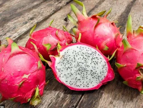 La PITAHAYA de Pastaza LLEGA a Hong Kong y Malasia