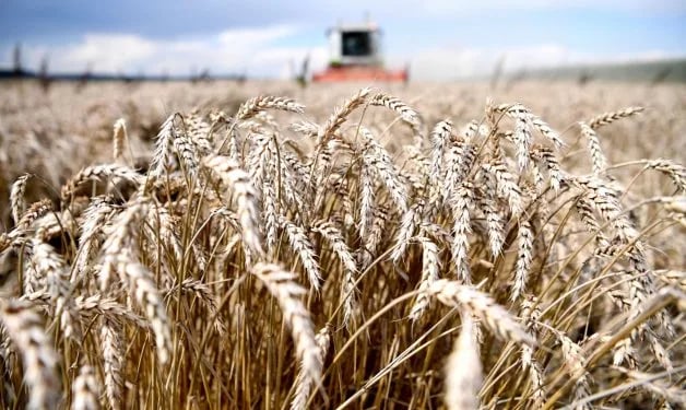 Polonia demanda una salvaguardia para la agricultura en el acuerdo con Mercosur
