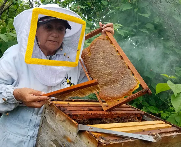 Ecuador ya cuenta con 2034 apicultores en 23 provincias