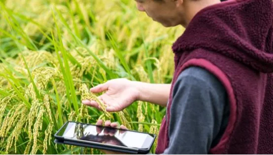 BASF lanza en Ecuador APLICACIÓN para productores que NO REQUIERE internet