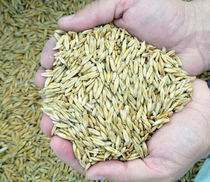 Ecuador: La investigación agropecuaria será promovida con el establecimiento de FIASA