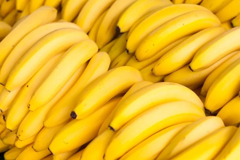 SUNT se asegura una financiación de 1,1 M€ para rescatar las bananas descartadas en los puertos europeos