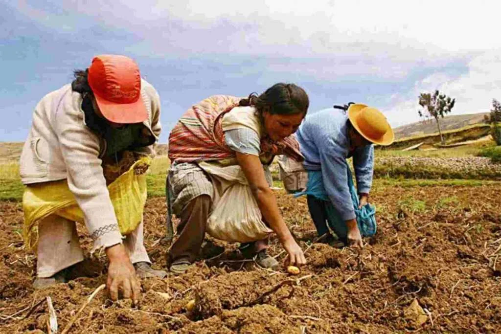 Sector agropecuario peruano empieza en alza el 2021 y crece 1.2 % en enero