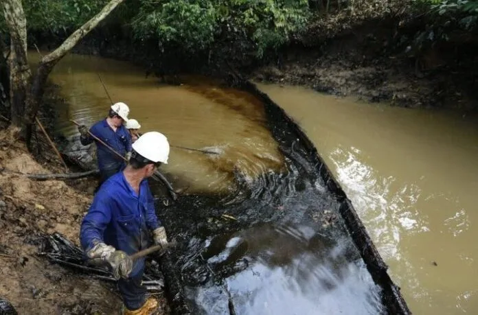 Cítricos y coco, una alternativa orgánica para limpiar derrames de petróleo