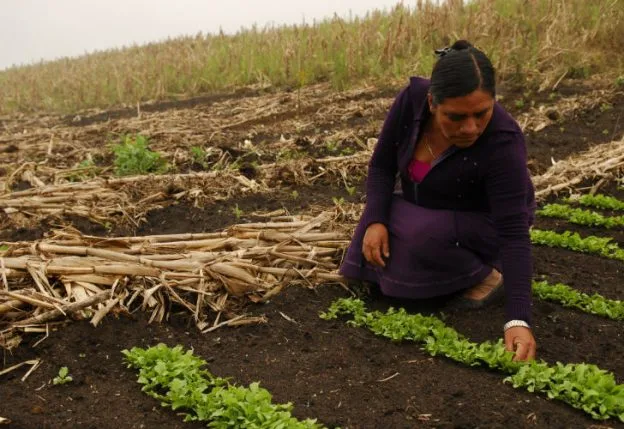 La mujer en el agro llamada a erradicar el hambre en el mundo