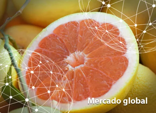 Resumen del mercado global del pomelo