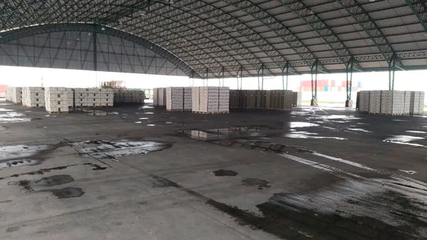 Ecuador: Clúster bananero continúa exigiendo correctivos a autoridad portuaria