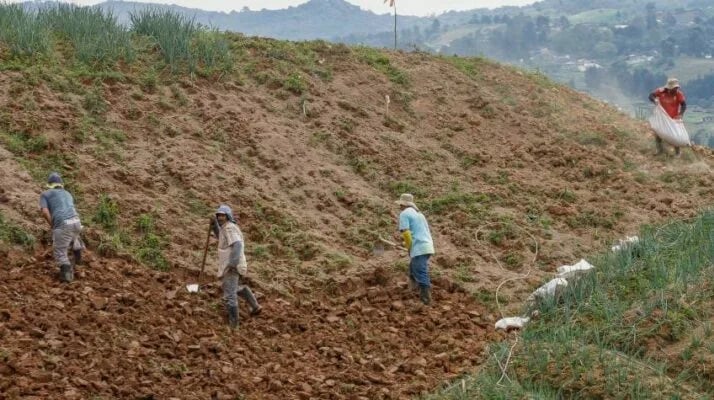 Colombia: Lanzan nueve líneas de crédito para el campo