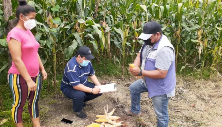 Ecuador: Entes de gobierno se unen para levantar información estadística en el agro