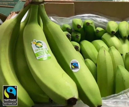 Francia: "El mercado francés de la banana ha aumentado considerablemente su tonelaje estos últimos años"