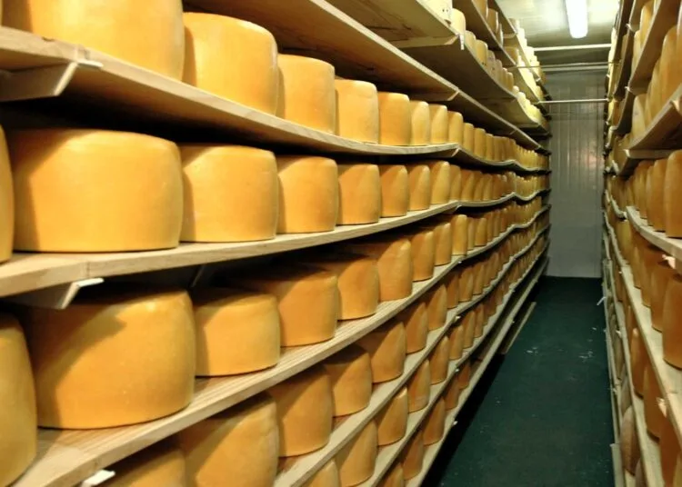 Ranking de exportadores de Queso en América Latina